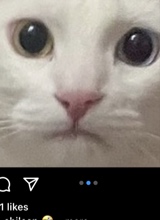 Guest_ConnerJakins