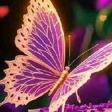 Guest_Manuela858719