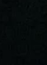 Guest_jasmin371044
