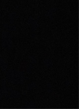 immagine avatar
