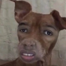 Guest_RoraaaExe1