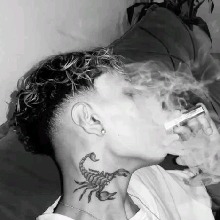 avpic