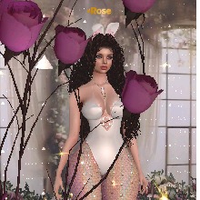 Guest_Rose724885