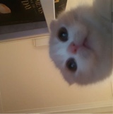 Guest_talyn3