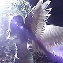 Guest_Thayy468019