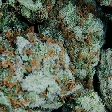 Sweetspot91