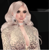 Guest_Emily735949