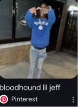 Guest_zay386343