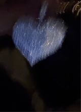 Guest_kyliee746445