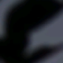 Guest_Stiv15
