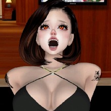 Guest_Se784477