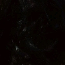 Guest_Ticy17