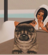 TheRealLiah1