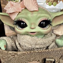 Guest_Maria20672