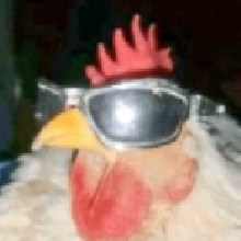 Guest_gbzadavuh