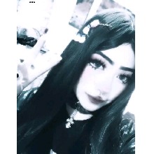 Guest_XTzx3