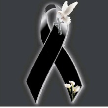 immagine avatar