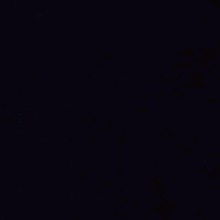 Guest_MAYAeb6