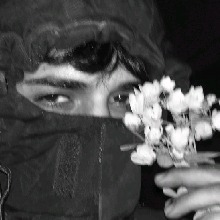 Guest_flaxdeepchampagnec59