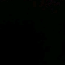 Guest_Liviamix19