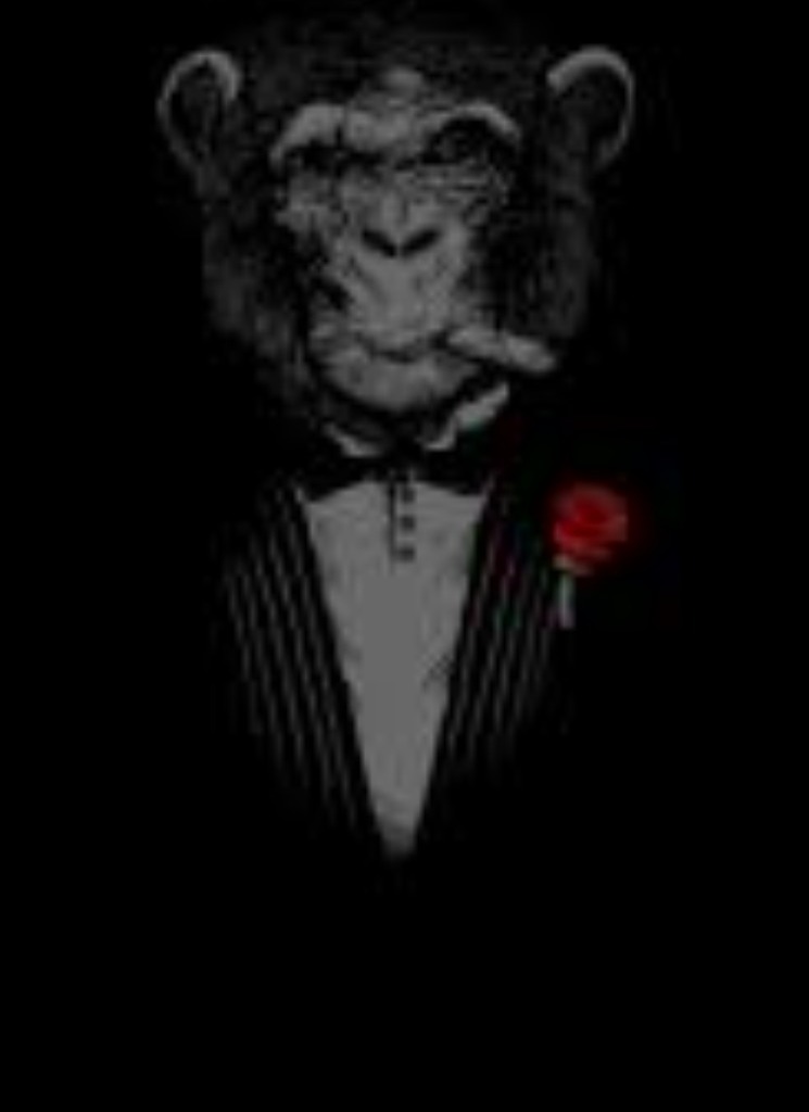 Guest_wpereira1