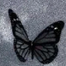 avatarbild