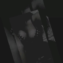 Guest_Erika911403