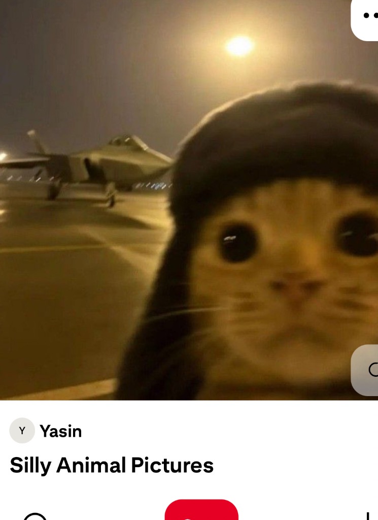 Guest_Ambi43
