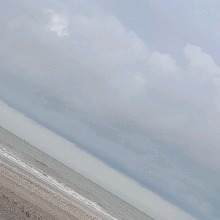 Guest_Camiladd4