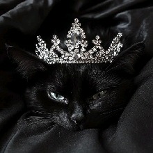 صورة الـavatar