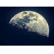Guest_Rgwill05