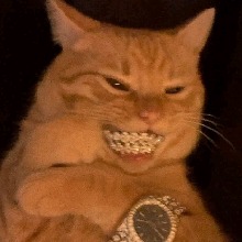 صورة الـavatar