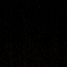 immagine avatar