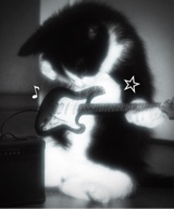 Guest_zzzzzzzzzz001