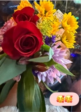 Guest_Chrissy635