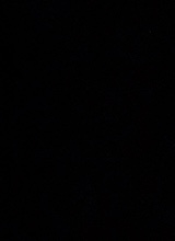Guest_Manea211