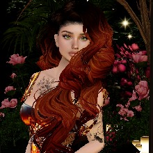 Guest_Pheanix