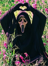 Guest_idk016