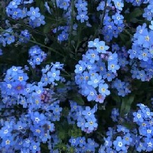 Guest_Bixxy22