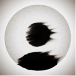 Guest_Chop2xx