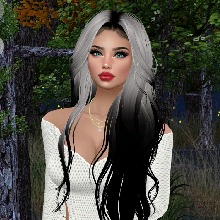 Guest_Zahara2