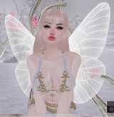 Guest_liz283808