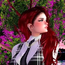 avpic
