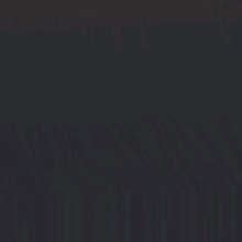 Guest_SaraConor2
