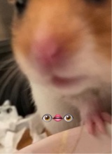 DejaDmirarmePorBot