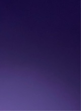 Guest_nonnn233