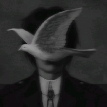 Guest_SY000