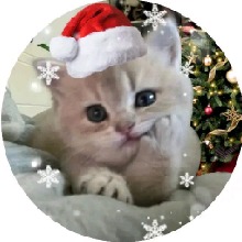 Guest_Maria195103