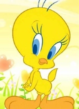 Guest_Evelyn198655