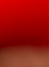 Guest_jose406655